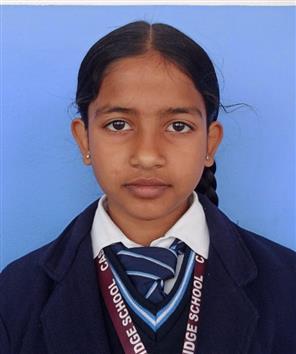 HIBA SHAKIL